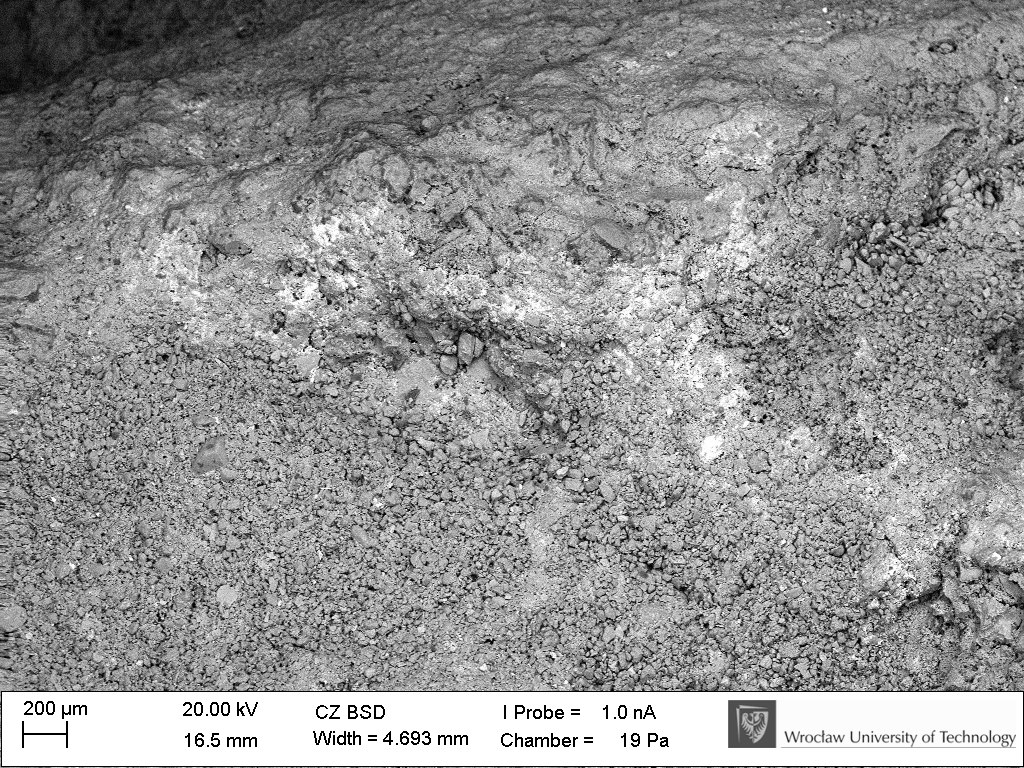 Residua osadzone na powierzchni figurki ze stanowiska Wilczyce 10, widziane pod skaningowym mikroskopem elektronowym