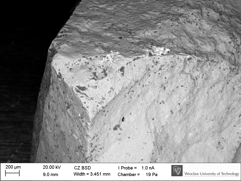 Pozostałości mikroskopijnych rozmiarów osadzone na powierzchni zabytku, widziane za pomocą skaningowego mikroskopu elektronowego